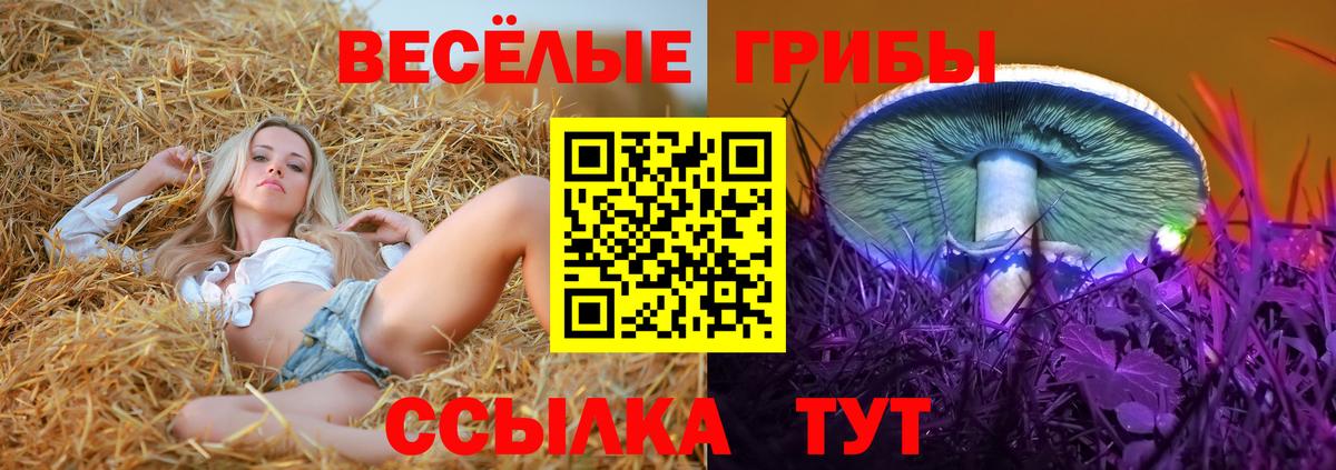Галлюциногенные грибы Cubensis Сибай